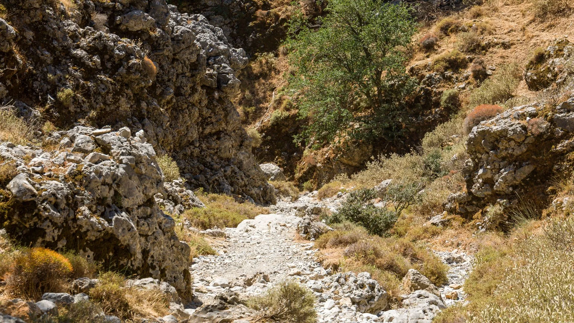 gorges imbros randonnee crete