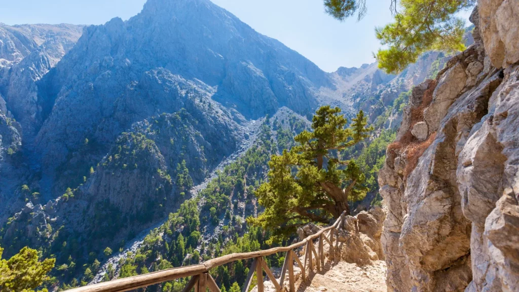 Vue spectaculaire des gorges de Samaria en Crète avec des falaises imposantes et une forêt verdoyante